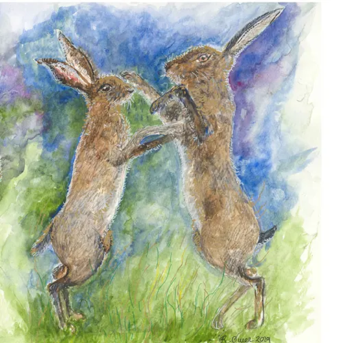 Hares