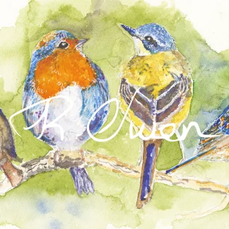 Group of Birds by Welsh artist Rhian Owen