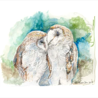 2 Barn Owls by Welsh artist Rhian Owen