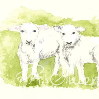 2 lambs by Welsh artist Rhian Owen