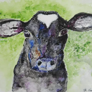 Black and White Cow by Welsh artist Rhian Owen