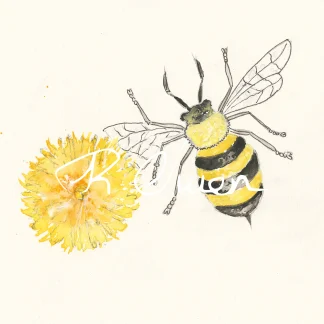 Bumble Bee and Dandelion by Welsh artist Rhian Owen