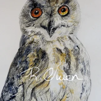 Owl by Welsh artist Rhian Owen