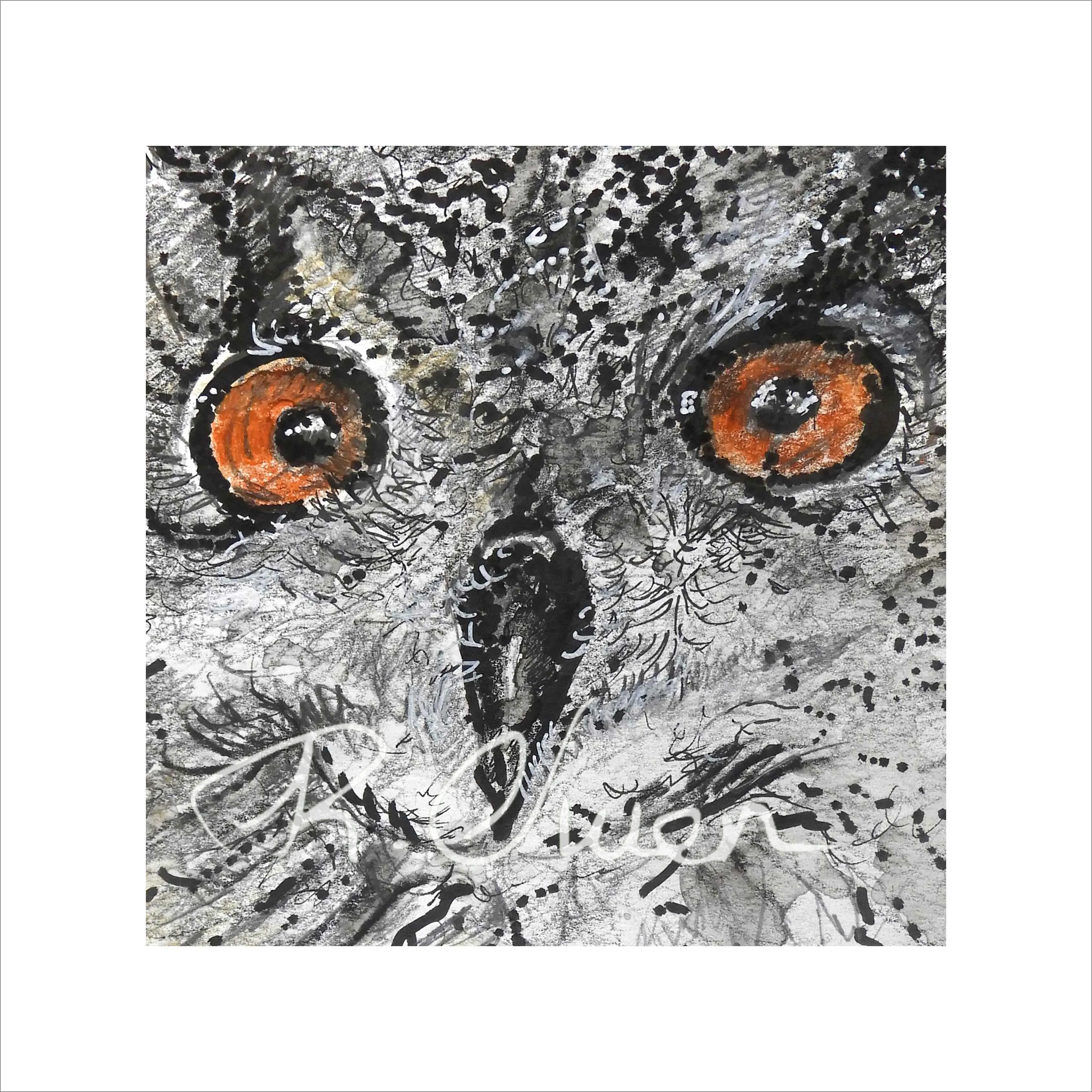 Giclee Owl by Welsh artist Rhian Owen