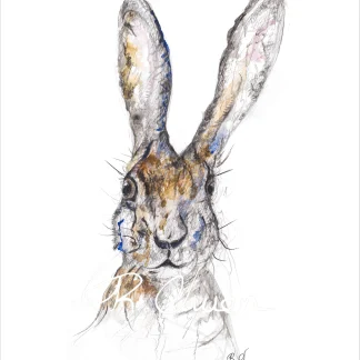 Hare by Welsh artist Rhian Owen