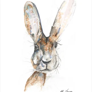 Hare 3 by Welsh artist Rhian Owen