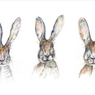 Hare Tryptych by Welsh artist Rhian Owen