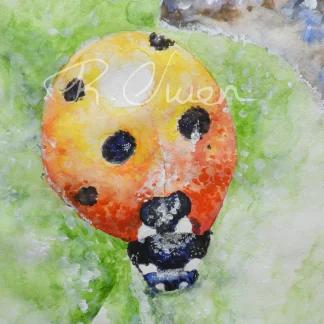 Ladybird close-up 1 by Welsh artist Rhian Owen