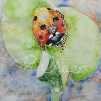 Ladybird on a Leaf by Welsh artist Rhian Owen