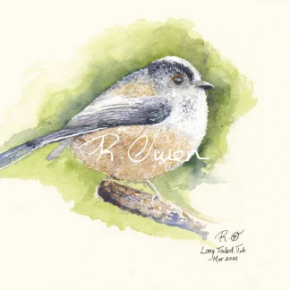 Long Tailed Tit by Welsh artist Rhian Owen