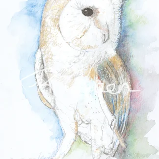 Owl 1 by Welsh artist Rhian Owen