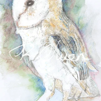 Owl 2 by Welsh artist Rhian Owen