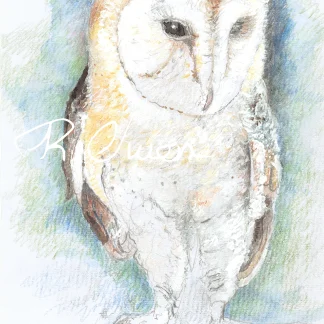 Owl 3 by Welsh artist Rhian Owen