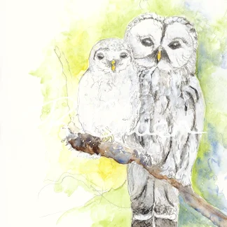 Owls by Welsh artist Rhian Owen