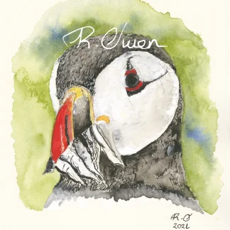 Puffin by Welsh artist Rhian Owen