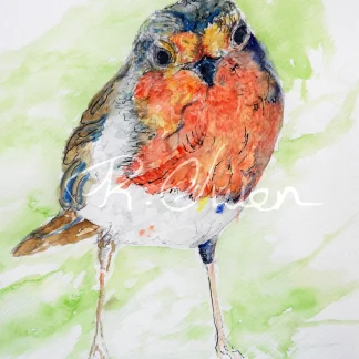 Robin by Welsh artist Rhian Owen