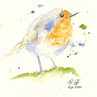 Spring Robin by Welsh artist Rhian Owen