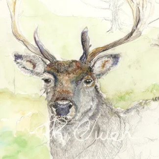 Stag by Welsh artist Rhian Owen