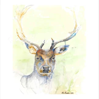 Stag at Powis Castle 2 by Welsh artist Rhian Owen