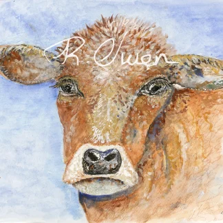 Brown Cow by Welsh artist Rhian Owen