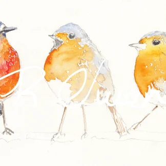 Chatting Robins by Welsh artist Rhian Owen