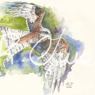 Red Kite by Welsh artist Rhian Owen