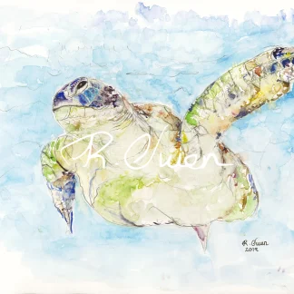 Swimming Turtle by Welsh artist Rhian Owen