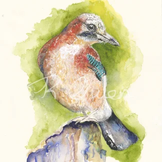 Jay by Welsh artist Rhian Owen