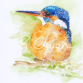 Kingfisher by Welsh artist Rhian Owen